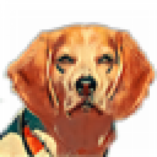 Beagle instant messenger icon