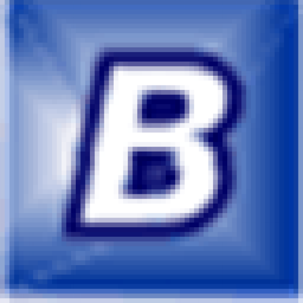 BootIt Bare Metal Icon