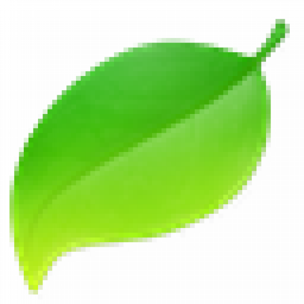 Coda icon