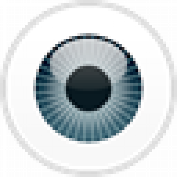 ESET Endpoint Security icon