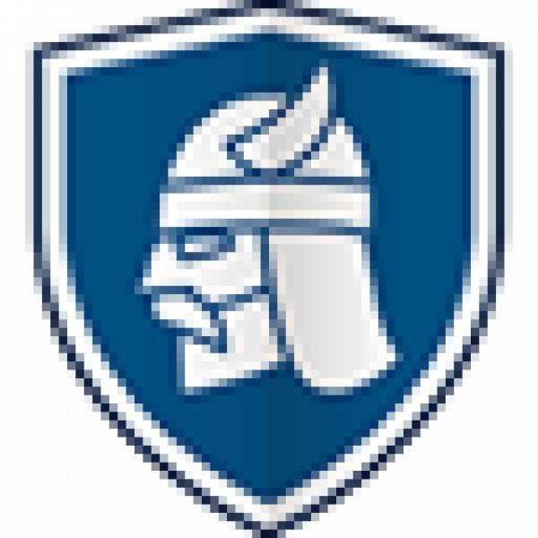 Heimdal Security Icon