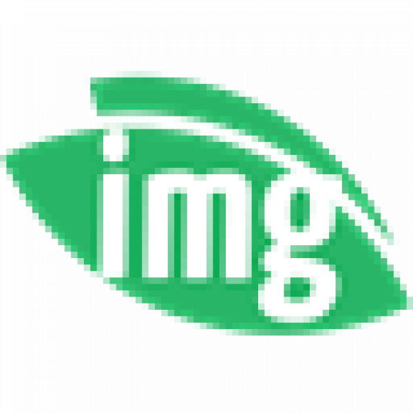 Img vision icon