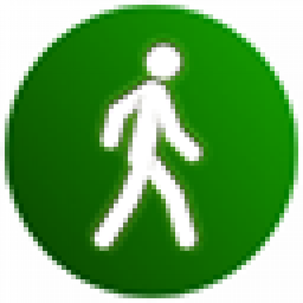 Noom Walk Icon