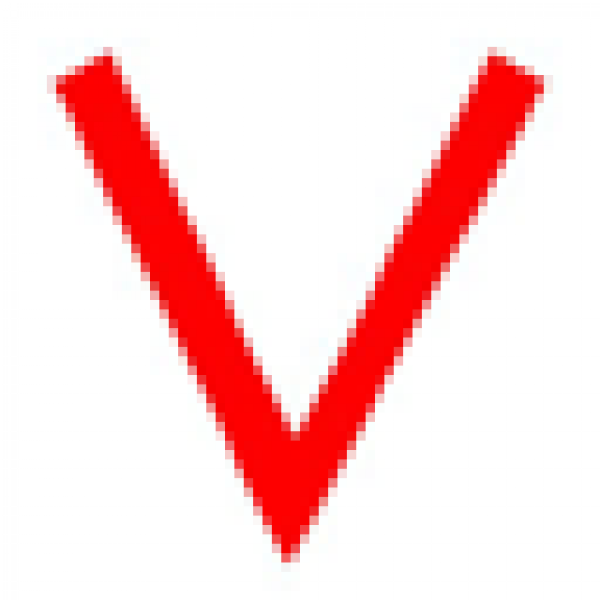 VeriPN Openvpn client icon for windows