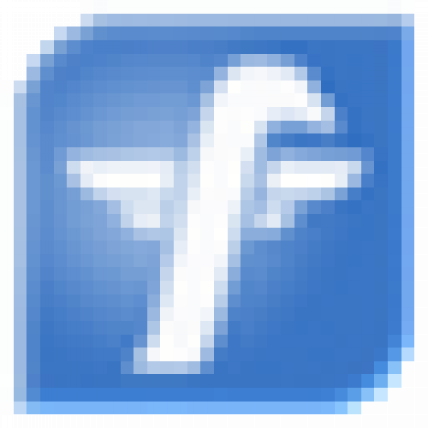 falcana sale icon.