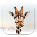 Girafi icon