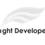 Light Developer Icon