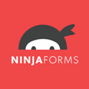 Ninja shapes icon