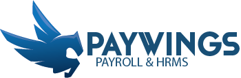 Paywings payroll icon