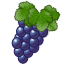 Vineyard icon