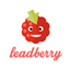 Leadberry icon