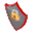 Shield icon