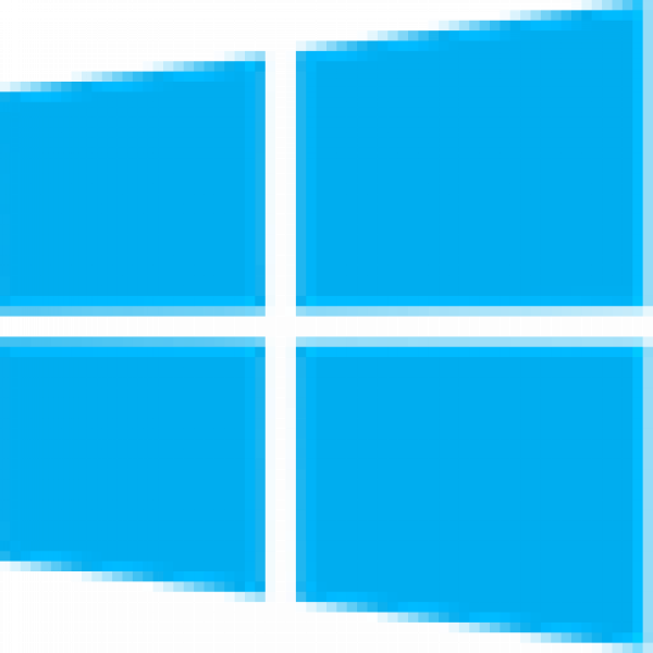 Windows Server Icon