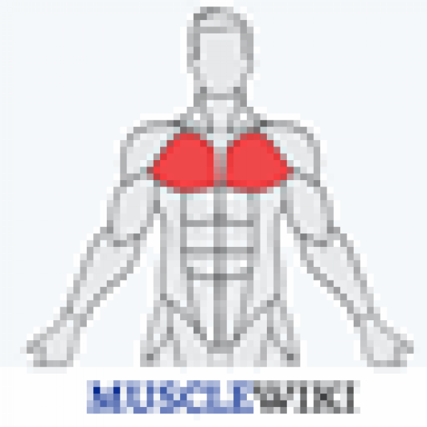 MuscleWiki Icon