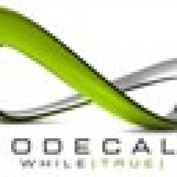 Code call icon