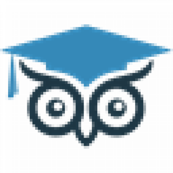 Hire Owl Icon