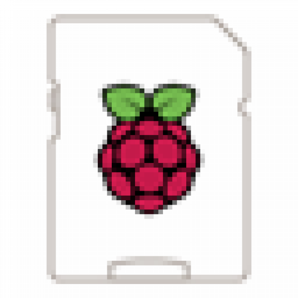 Raspberry Pi operating system icon