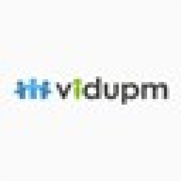 ViduPM Icon