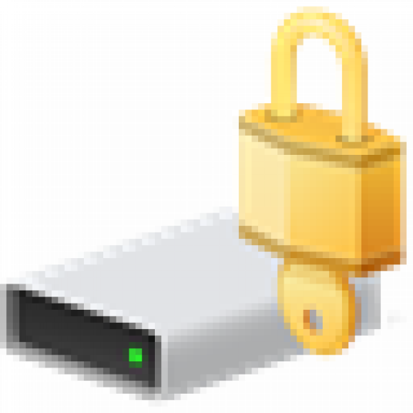 Windows BitLocker Icon