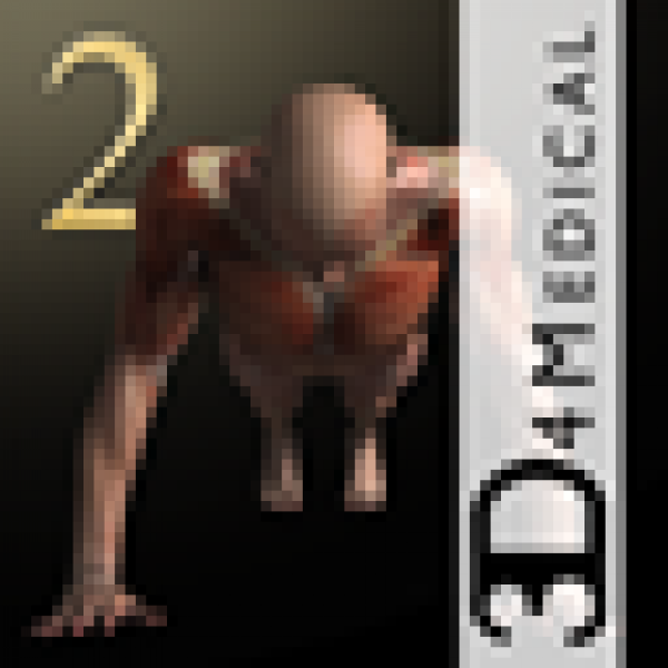 IMuscle 2 icon