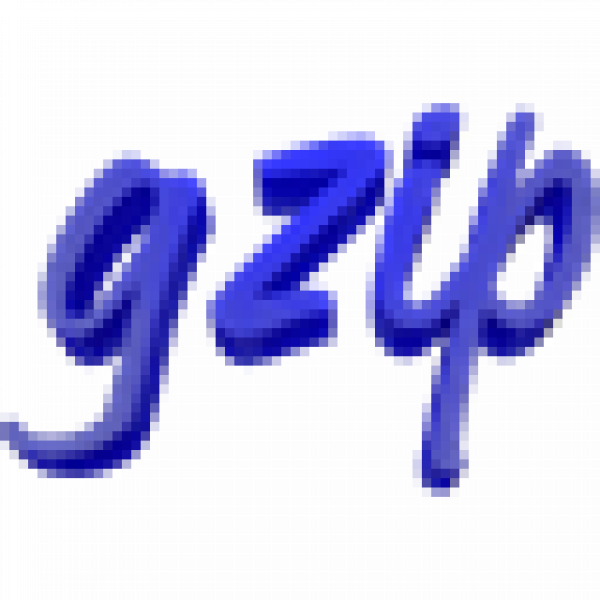 gzip icon