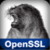 OpenSSL