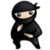 System Ninja